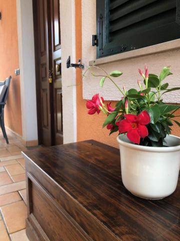 Appartamento Il Giardino Delle Rose Spello Esterno foto