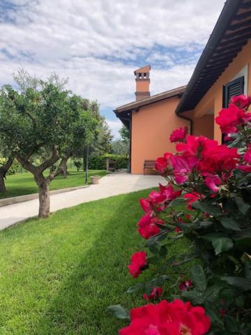 Appartamento Il Giardino Delle Rose Spello Esterno foto