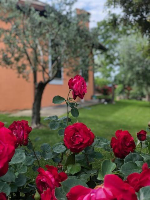 Appartamento Il Giardino Delle Rose Spello Esterno foto